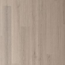 Portico Belleluxe Waterproof Andilair Hammered Silver Oak PL800-5