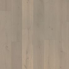 Portico Belleluxe Waterproof Belhanfield Welsh Slate Oak PL801-5
