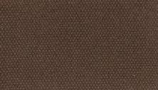 Mohawk Everstrand Dynamic Impact Motion PM589-887