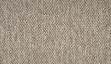 Mohawk Everstrand Karliah Brown Swirl PM597-858