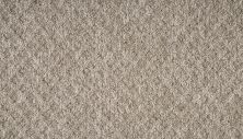 Mohawk Everstrand Tullius Brown Swirl PM600-858