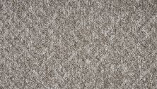 Mohawk Everstrand Tullius Driftwood PM600-868