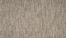 Mohawk Everstrand Winterhold Brown Swirl PM601-858