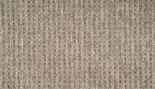 Mohawk Everstrand Ancano Brown Swirl PM602-858