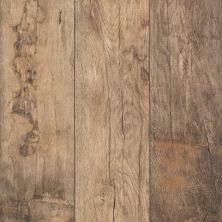 Portico Revwood Essentials Cedar View Beachwood Cream Oak POR19-9