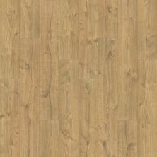 Portico Revwood Select Emberstone Valley Firewood Oak POR23-842