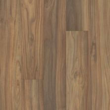 Pergo Extreme Wood Fundamentals Single Strip Coburn PT006-550