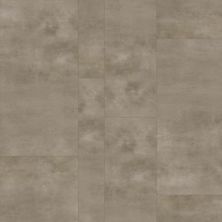 Pergo Extreme Tile Options Single Strip Walrus PT007-802