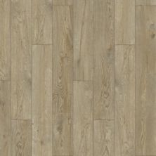 Pergo Extreme Wood Enhanced Oakley PT014-818