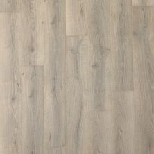 Mohawk Puretech Plus Natural Ridge Flint Oak PTA04-256