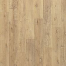 Mohawk Puretech Plus Ellenbank Fallen Leaf Oak PTA05-468