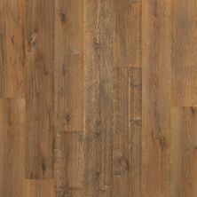 Mohawk Puretech Plus Ellenwood Nature Walk Oak PTL05-258