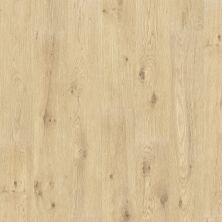 Portico Puretech Premier Woodland Commons Tender Twig Oak PTP08-138