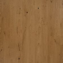 Portico Tecwood Enhanced Madera Trail Sepia Oak PW008-841