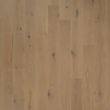 Portico Tecwood Plus Bowery Manor Stave Oak PW009-831