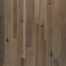Portico Belleluxe Natural Cambridge House Beige Hickory PW012-849