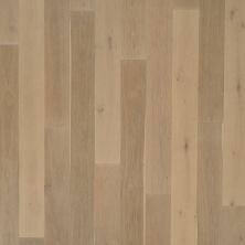 Portico Belleluxe Natural The Guillon Estate Victorian Smoke Oak PW014-859