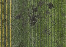 Mohawk Group Reawakened Tile 12by36 Ripe RWKRP1236