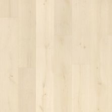 Karastan Hard Surfac Belleluxe Waterproof Wood Belhancourt Travertine Light Oak R.KLW03.LP.09B80C.01.000000