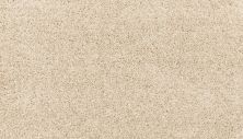 Mohawk Petpremier Paw Pathway Linen SP413-717