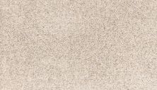 Mohawk Petpremier Paw Pathway Breeze SP413-719