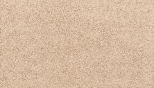 Mohawk Petpremier Paw Pathway Windsome SP413-732
