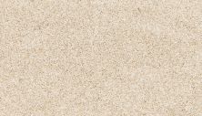 Mohawk Petpremier Paw Pathway Sugar Cone SP413-736