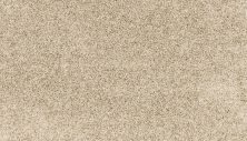 Mohawk Petpremier Paw Pathway Radiance SP413-740