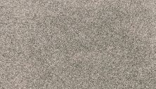 Mohawk Petpremier Paw Pathway Camel SP413-757