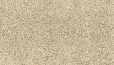 Mohawk Petpremier Paw Pathway Poppy Seed SP413-849