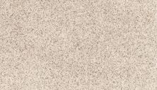 Mohawk Petpremier Paw Pathway Snow Path SP413-937