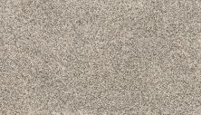 Mohawk Petpremier Paw Pathway Mushroom SP413-958