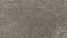Mohawk Petpremier Paw Pathway Ash SP413-978