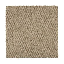 Mohawk Everstrand Colorful Blend I 720 SP904-720