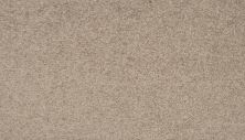 Mohawk Everstrand Colorful Blend I 829 SP904-829