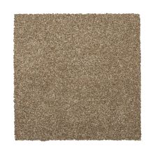 Mohawk Everstrand Colorful Blend I 832 SP904-832