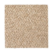 Mohawk Everstrand Colorful Blend II 720 SP905-720