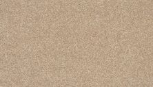 Mohawk Everstrand Colorful Blend II 752 SP905-752