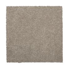 Mohawk Everstrand Colorful Blend II 829 SP905-829