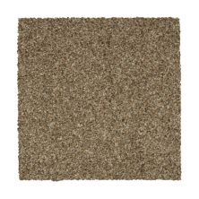 Mohawk Everstrand Colorful Blend II 832 SP905-832