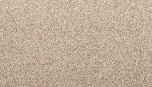 Mohawk Everstrand Colorful Blend II 849 SP905-849