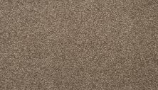 Mohawk Everstrand Colorful Blend II 869 SP905-869