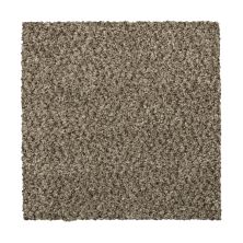 Mohawk Everstrand Colorful Blend II 879 SP905-879