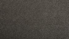 Mohawk Everstrand Colorful Blend II 969 SP905-969