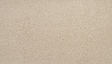 Mohawk Everstrand Colorful Blend III 702 SP906-702