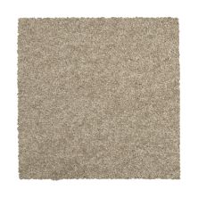 Mohawk Everstrand Colorful Blend III 829 SP906-829