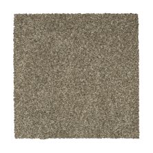 Mohawk Everstrand Colorful Blend III 849 SP906-849