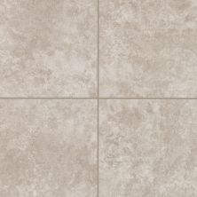 Mohawk Ascoli Floor Ceramic Grey T810P-AN35-12×12-FieldTile-Ceramic
