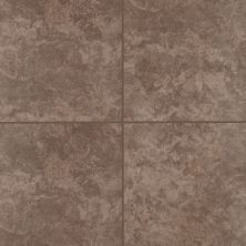 Mohawk Ascoli Floor Ceramic Brown T810P-AN36-12×12-FieldTile-Ceramic