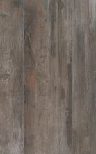 Portico Bryson Valley Truffle Barnwood T852-BV14